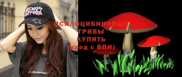 spice Надым