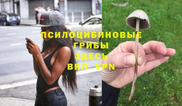 не бодяженный Навашино