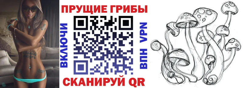 Псилоцибиновые грибы прущие грибы  Купить закладки  Лиски 